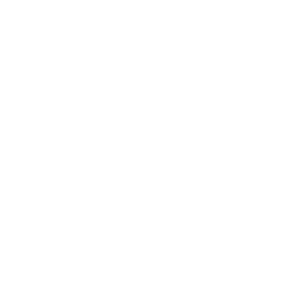 No Gossip
